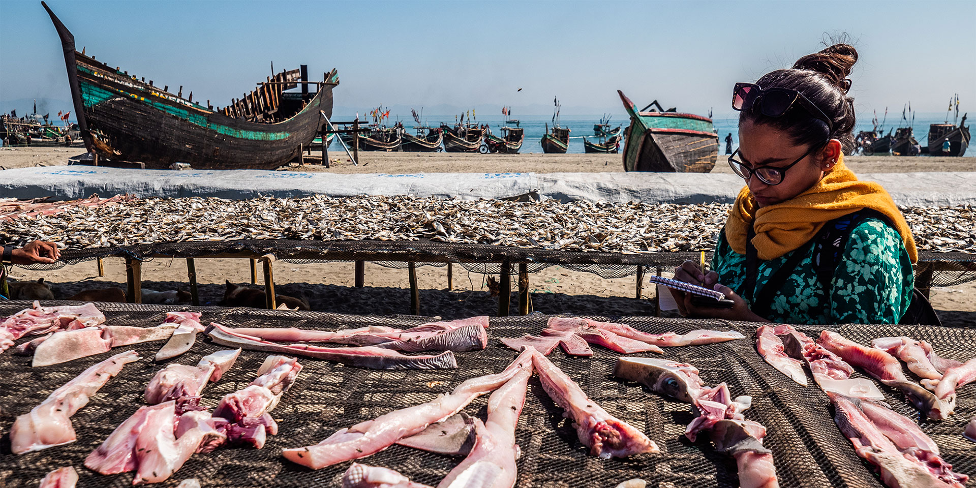 Photo by Oliver Deppert.